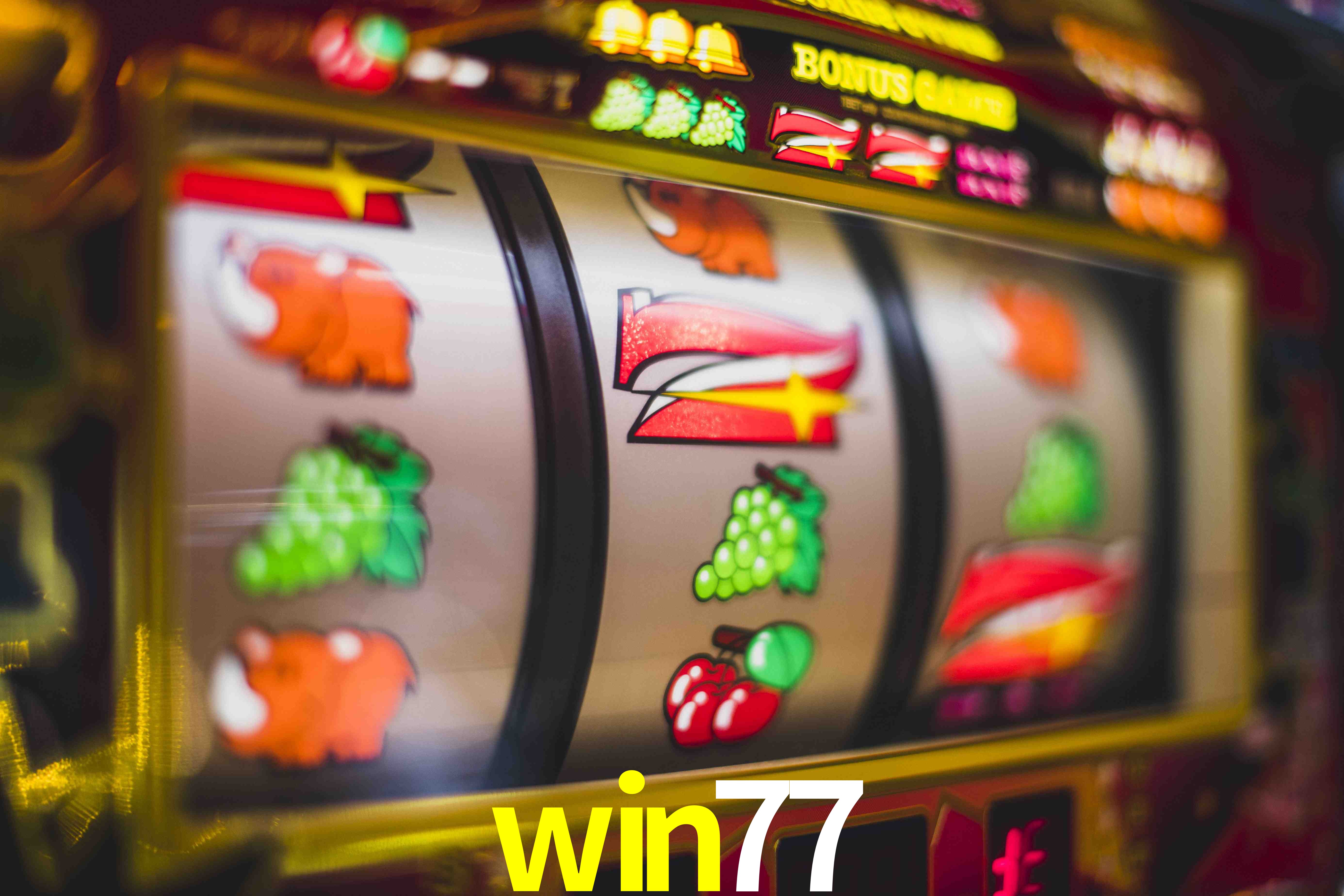 Tennis Betting win77